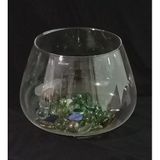 Büyük Boy Balık Akvaryumu Cam Fanus Vazo Olarak ideal Çap:25cm Yükseklik:19cm Ağız Genişliği:18cm