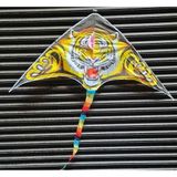 Büyük Boy Kaplan Uçurtma Tiger Kite 160 CMX75 cm Aslan Uçurma-Kuyruk 120 cm 30 mt Ip Dahil