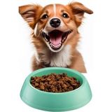 Büyük Boy Mama Kabı Su Kabı Evcil Hayvan Kedi Köpek Mama Kabı Çok Renkli 21cm Çap 1440 (Turkuaz)