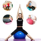 Büyük Boy Pilates Topu 75 CM Pilates Topu + Pompa Miz Mavi