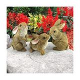 Büyük Pazar Store Design Toscano QM92008 The Bunny Den Rabbits Iç/dış Mekan Bahçe Hayvan Heykelleri, 9,5 cm Genişliğinde, 10,5 cm Derinliğinde, Tam Renkli Kaplama - 0 - Siyah - Option-1