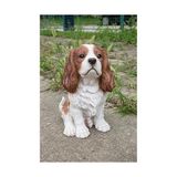 Büyük Pazar Store Hi-Line Gift 87803-C Kahverengi/beyaz Kral Charles Spaniel Oturan Heykel - 0 - Siyah - Option-1