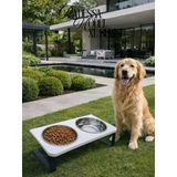 Büyük Ve Orta Boy Köpekler İçin %10 Eğimli Mama Kabı Çift Hazneli Su Ve Mama Kabı Standı