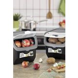 BÜYÜLÜ HOME Saklama Kabı 12 Litre 2li Soğan Patates Saklama Kutusu Gri Baglı02739