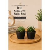Buywell 2’li Mat Siyah Seramik Sukulent ve Küçük Süs Bitkileri Saksısı Seti – 2 Adet Minimal Dekoratif Saksı (6,5 x 6 cm)