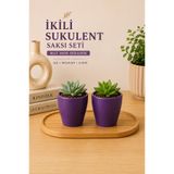 Buywell İkili Mat Mor Seramik Sukulent ve Küçük Süs Bitkileri Saksı Seti – 7 x 5 x 8 cm