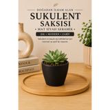 Buywell Mat Siyah Seramik Sukulent ve Küçük Süs Bitkileri Saksısı