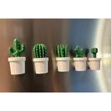 Buzdolabı Kaktüs Magneti 5'li Set - Beyaz | 3D Baskı, Saksılı Tasarım
