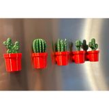 Buzdolabı Kaktüs Magneti 5'li Set - Kırmızı | 3D Baskı, Saksılı Tasarım