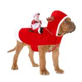BWOGUE Noel Baba köpek kostüm noel evcil hayvan giysileri noel baba sürme Pet Cosplay kostümleri parti giyinmek köpekler kediler kıyafet küçük orta büyük köpekler kediler için