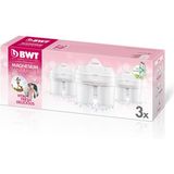 Bwt Sürahi Su Arıtma Filtresi Magnezyumlu 3lü Kutu