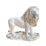 BY ARİ ASLAN BİBLO HF248-6