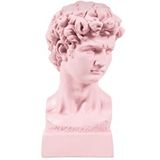 By Ari Davut Büst Heykel Biblo Hk105-8 Pembe
