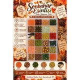 By MO Accessories YENİ SEZON Sonbahar Esintisi Temalı Boncuklarla Takı Bileklik Kolye Saç Aksesuarı Yapma Kutusu