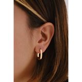 ByFlorya Jewelry Çelik Oval Bombeli Halka Küpe Kararmaz Plaka 2.5cm Günlük Kullanıma Uygun