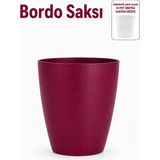 ByKurt Orkide Saksısı Dekoratif Dış Saksı Vişne 1 Adet- 12 Pot Şeffaf Orkide Üretim Saksısı Hediyeli