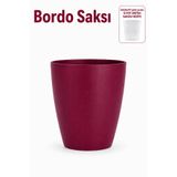 ByKurt Orkide Saksısı Dekoratif Dış Saksı vişne1 Adet- 12 Pot Şeffaf Orkide Üretim Saksısı Hediyeli