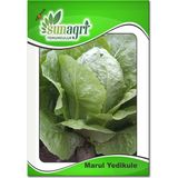 Bykurt Sunagri Yedikule Marul Tohumu - Gevrek Yağlı Yapraklı Lezzetli ve Göbek Yapılı - 5 gr