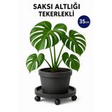 ByKurt Tekerlekli Saksı Altlığı Çok Amaçlı Damacana Tüp Taşıma Standı 35 cm