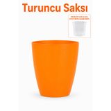 Bykurt Turuncu Orkide Saksısı Dekoratif Dış Saksı 1 Adet- 12 Pot Şeffaf Orkide Üretim Saksısı Hediyeli