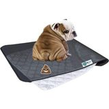 Bypet Yıkanabilir Köpek Çiş Pedi - Köpek Tuvalet Eğitim Seti (3 Katmanlı) 90CMX60CM Yedekli - 001-Renkli - 100 x 100 cm