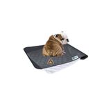Bypet Yıkanabilir Köpek Çiş Pedi - Köpek Tuvalet Eğitim Seti (3 Katmanlı) 90cmx60cm Yedekli