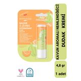 Byphasse Kavun Aromalı Nemlendirici Dudak Bakım Kremi 4.8 GR