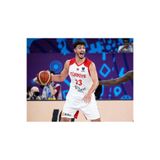 BYSPORTAKUS Türkiye Basketbol Milli Takımı Alperen Şengün Forması (Beyaz)