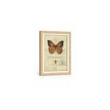 Byta Ince Kenar Çerçeve Krem 15X10 Cm