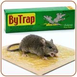 Bytrap Tüp Fare Yapışkan Tuzak | 75 Ml