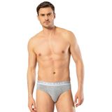 Cacharel 1311 Gri Likralı Bantlı Erkek Slip Külot