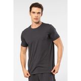 Cacharel Erkek Bisiklet Yaka T-Shirt 2169/ANTRASIT - M
