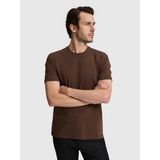 Cacharel Erkek Kahverengi Slim Fit Pamuk Karışımlı Bisiklet Yaka Basic T-Shirt 50328373-VR029