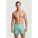 Cacharel Poplin Boxer Erkek 1113/Kareli Yeşil