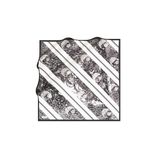 Cacharel Siyah - Beyaz Kadın Desenli Eşarp 8849313913