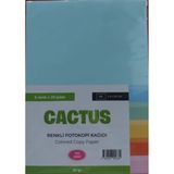 Cactus Fotokopi Kağıdı Renkli A4 80 gr 100'lü 5 Renk