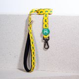Cactus Leash Kedi Köpek Sevk & Gezdirme Kayışı Köpek Uzatma Tasması