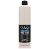 Cadence Ambiante AW 07 Kumtaşı 500 ml Islak Zemin Boyası+20 gr Katalizor