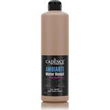 Cadence Ambiante AW 16 Karton 500 ml Islak Zemin Boyası+20 gr Katalizor