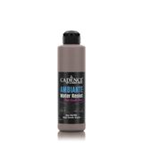 Cadence Ambiante AW 17 Vizon 250 ml Islak Zemin Boyası+10 gr Katalizor