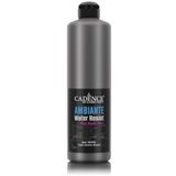 Cadence Ambiante Islak Zemin Boyası Aw 07 Antrasit 500Ml Katalizör 20Gr Çok Renkli Tek Ebat