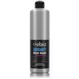 Cadence Ambiante Islak Zemin Boyası AWM06 Gümüş 500ML + Katalizör 20GR