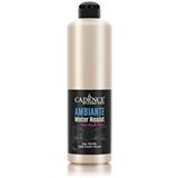 Cadence Ambiente Suya Dayanıklı Metalik Akrilik Boya Awm-02 Platin 500ml + Katalizör 20gr