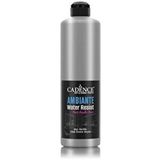 Cadence Ambiente Suya Dayanıklı Metalik Akrilik Boya Awm-06 Gümüş 500ml + Katalizör 20gr