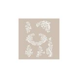 Cadence AS474 A4 Stencil
