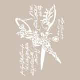 Cadence AS534 A4 Stencil