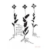 Cadence BN156 Bn Serisisi 25x35 cm Stencil