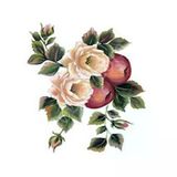Cadence Gülsün Ülkü Kolay Transfer Kağıdı 17X25cm G161