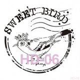 Cadence Home Decor HD-06 Stencil 45x45 cm Boyama Şablonu