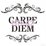 Cadence Home Decor HD-42 Stencil 45x45 cm Boyama Şablonu